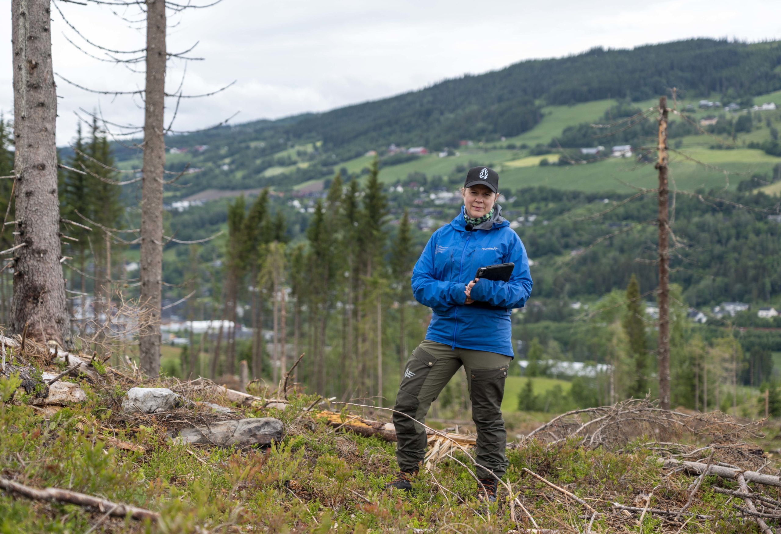 Ane Christensen Tange på en hogstflate i skogen.