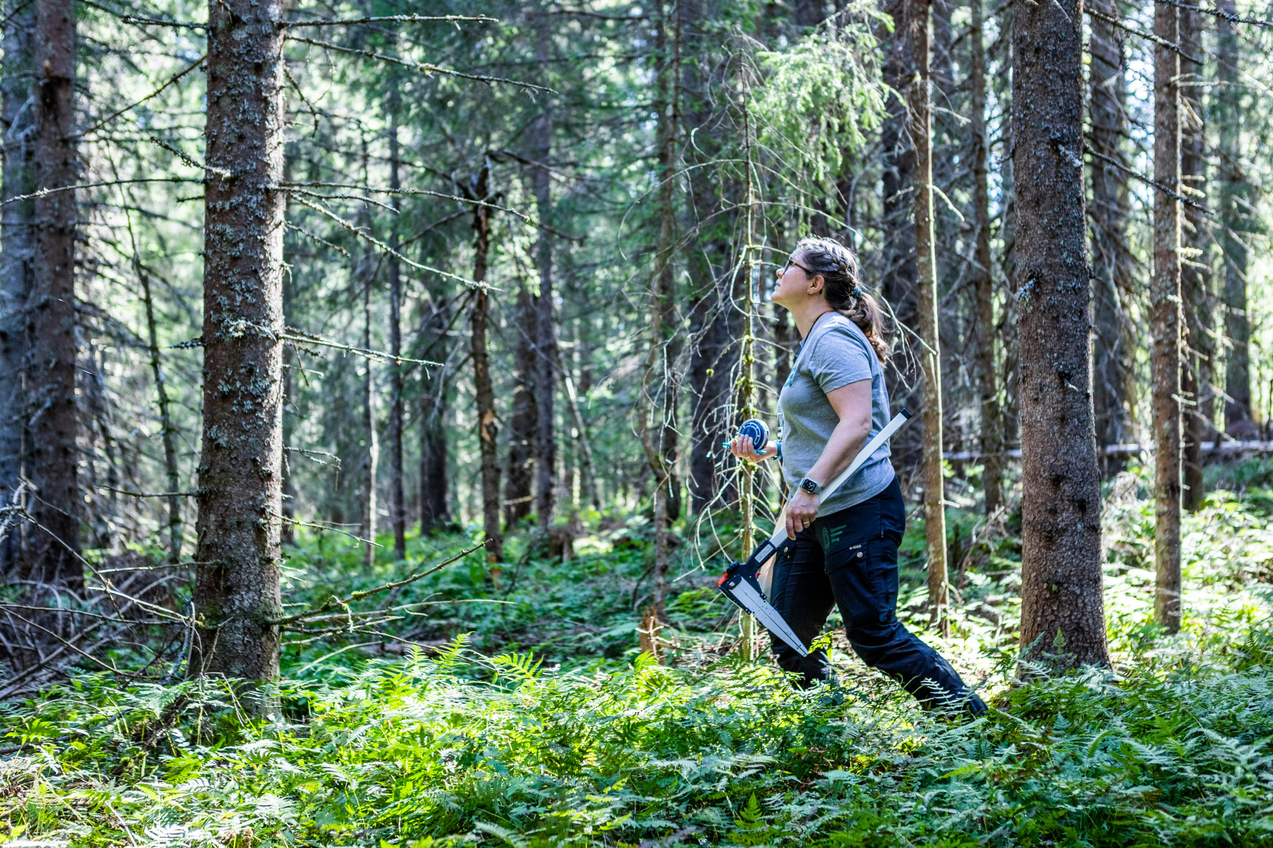 Ane Christensen Tange går i skogen.