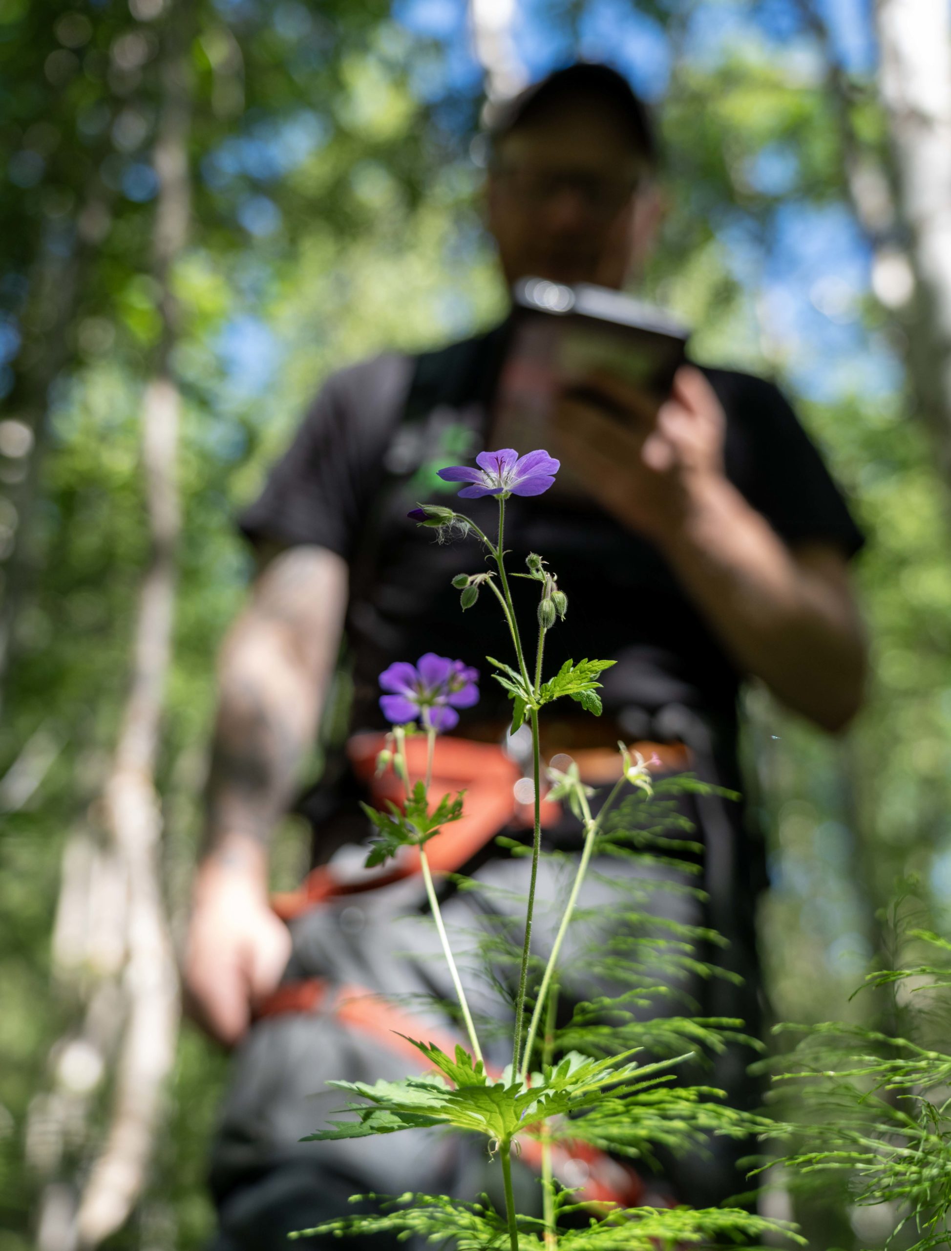 Mann med nettbrett og blomst i skogen