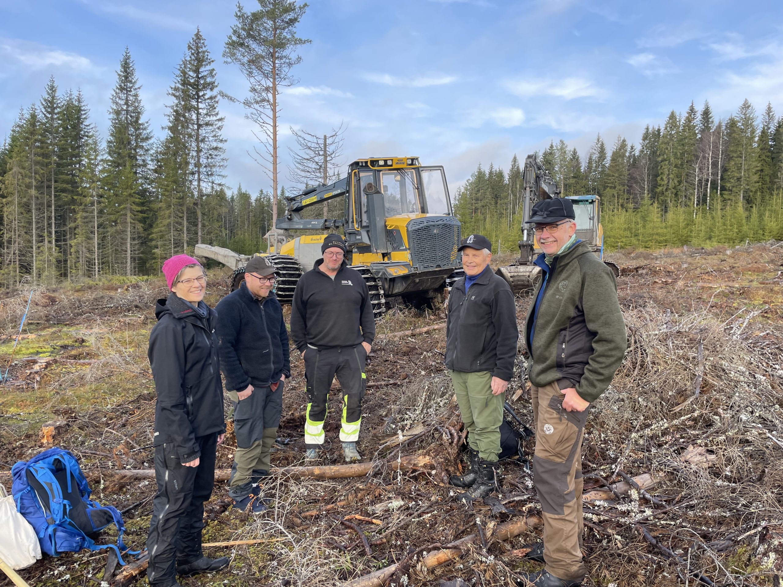 Gruppe personer på hogstflate.