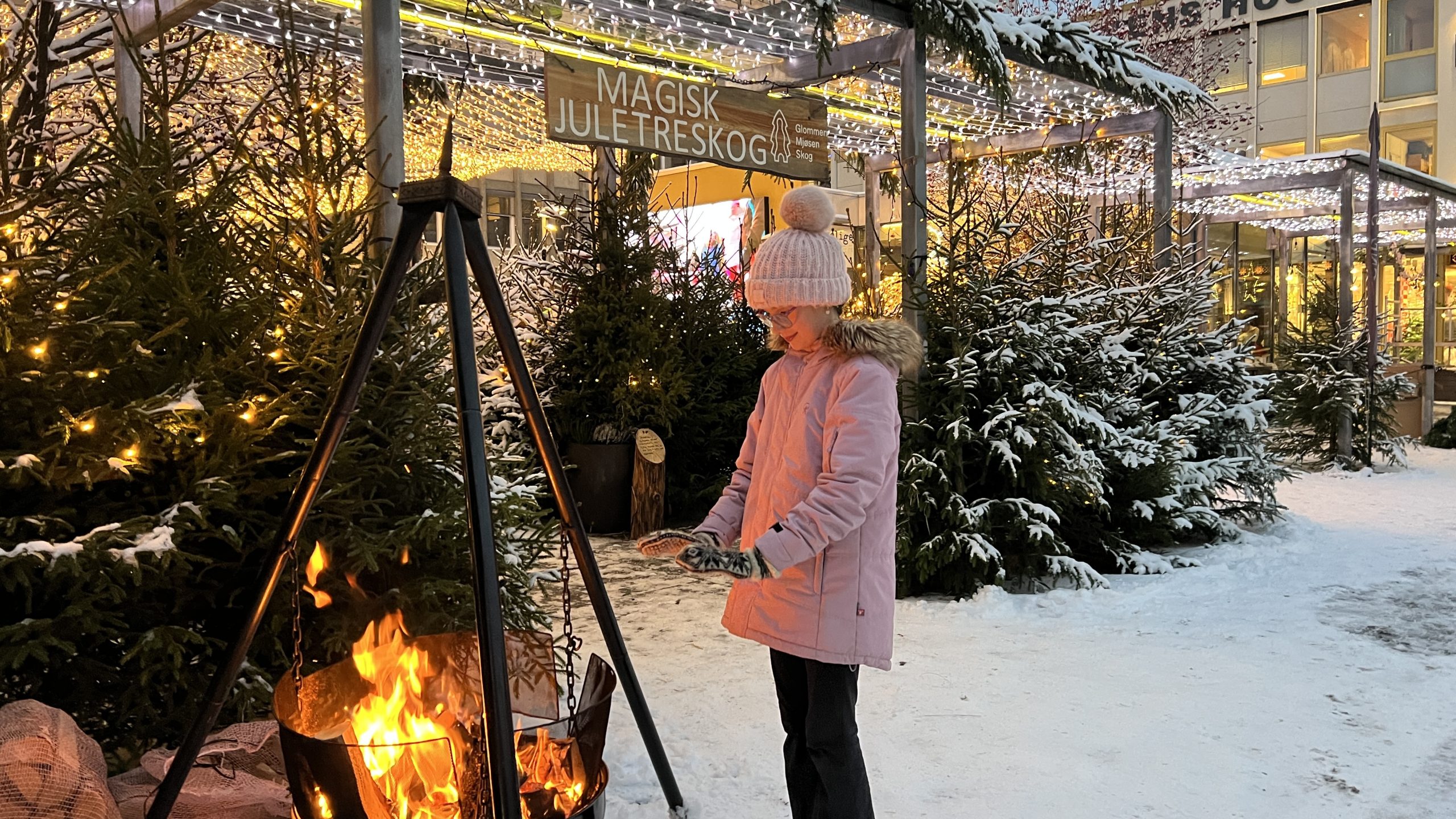 Jente ved bålpanne blant grantrær på et torg.