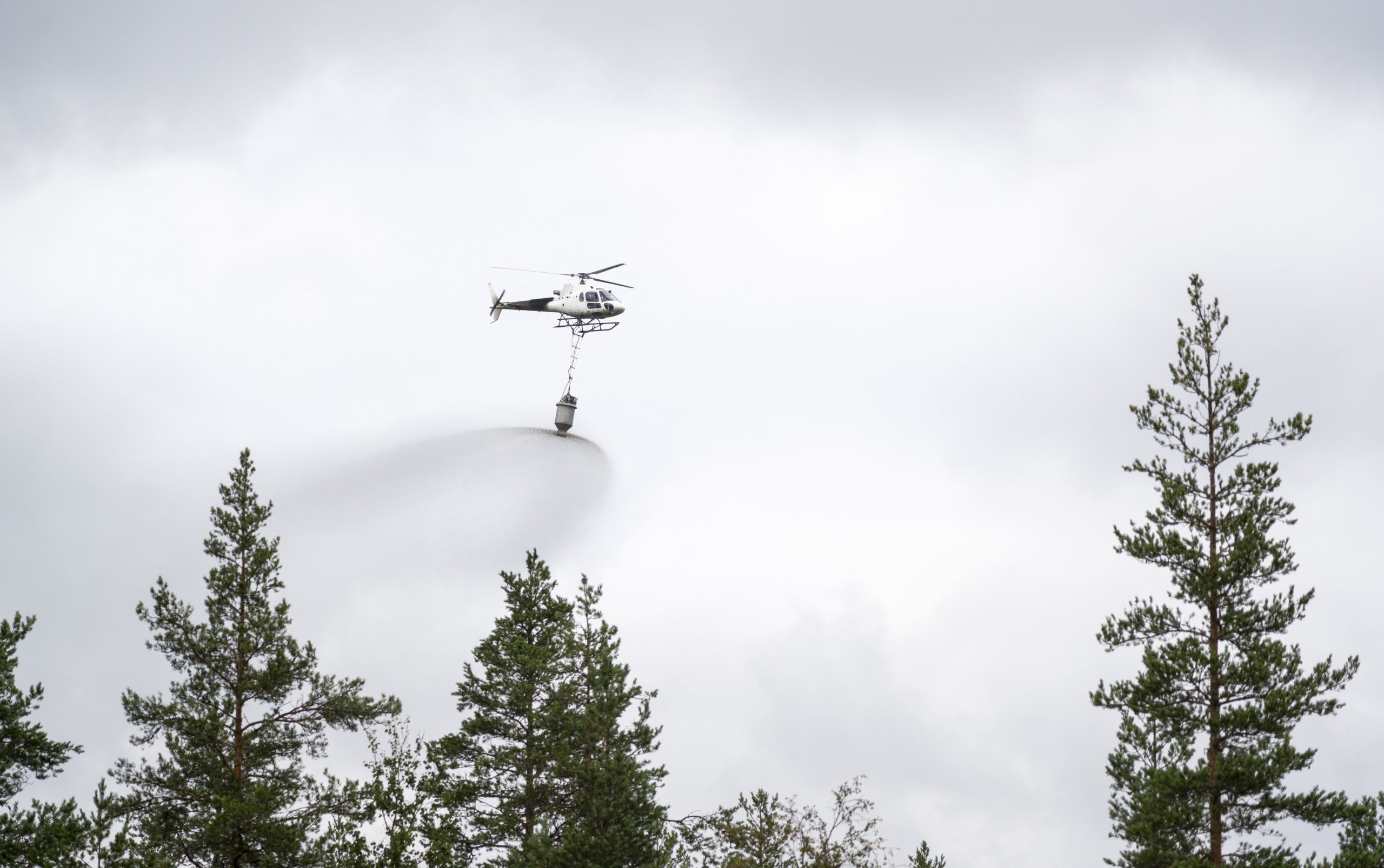 Helikopter flyr over skog og slipper gjødsel fra en tank.