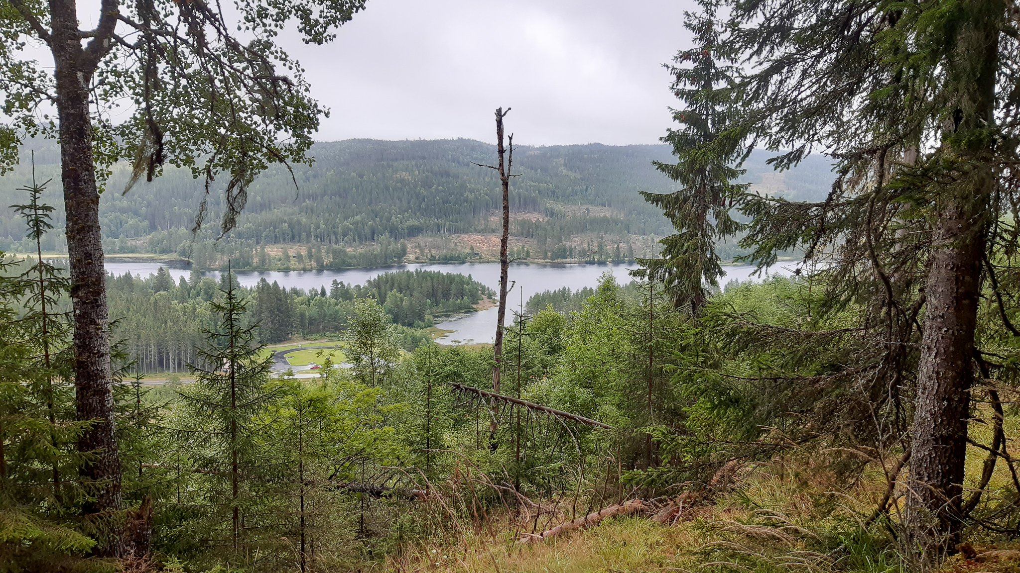 Utsikt fra skog mot innsjø.